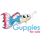 guppies-for-sale-logo-design